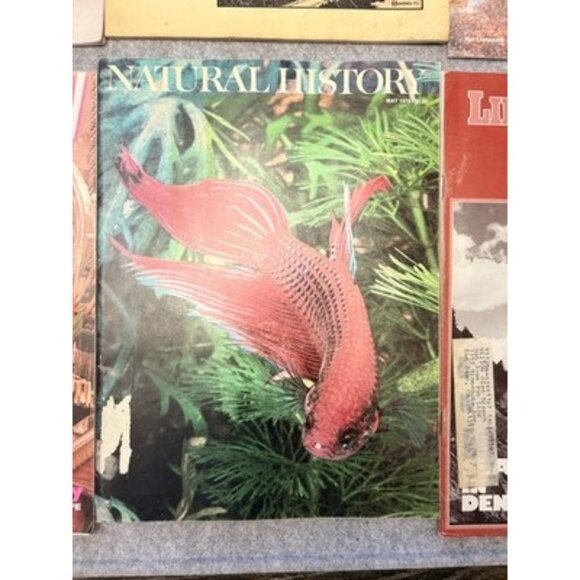 Vintage Magazine Lot 10 Natural History‎ House Garden Journal Taxi Chaim Gross - Picture 5 of 16